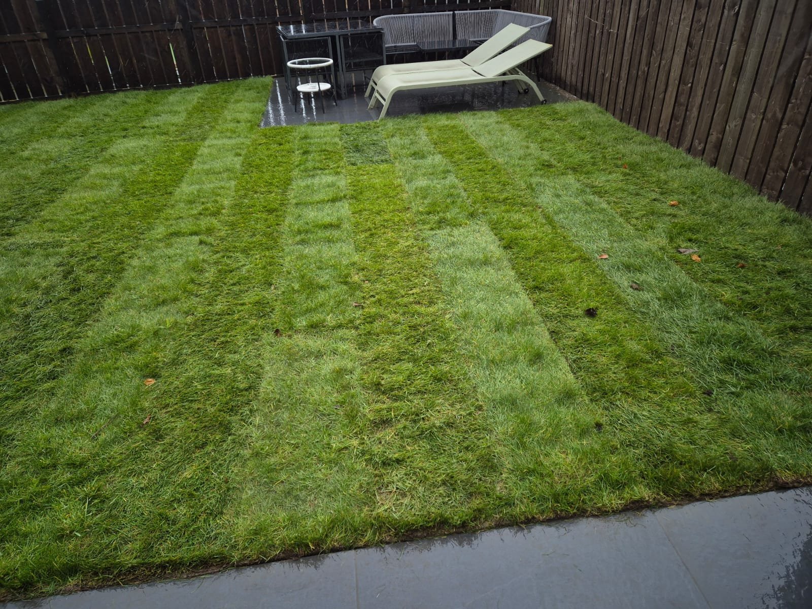 Freshly laid replacement turf in Boldon