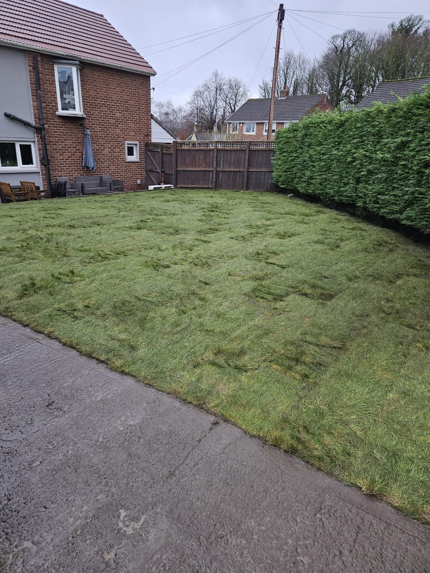 Hard wearing pet friendly turf in Boldon